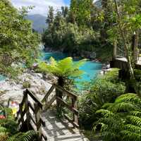 Guest photo on the West Coast Wilderness