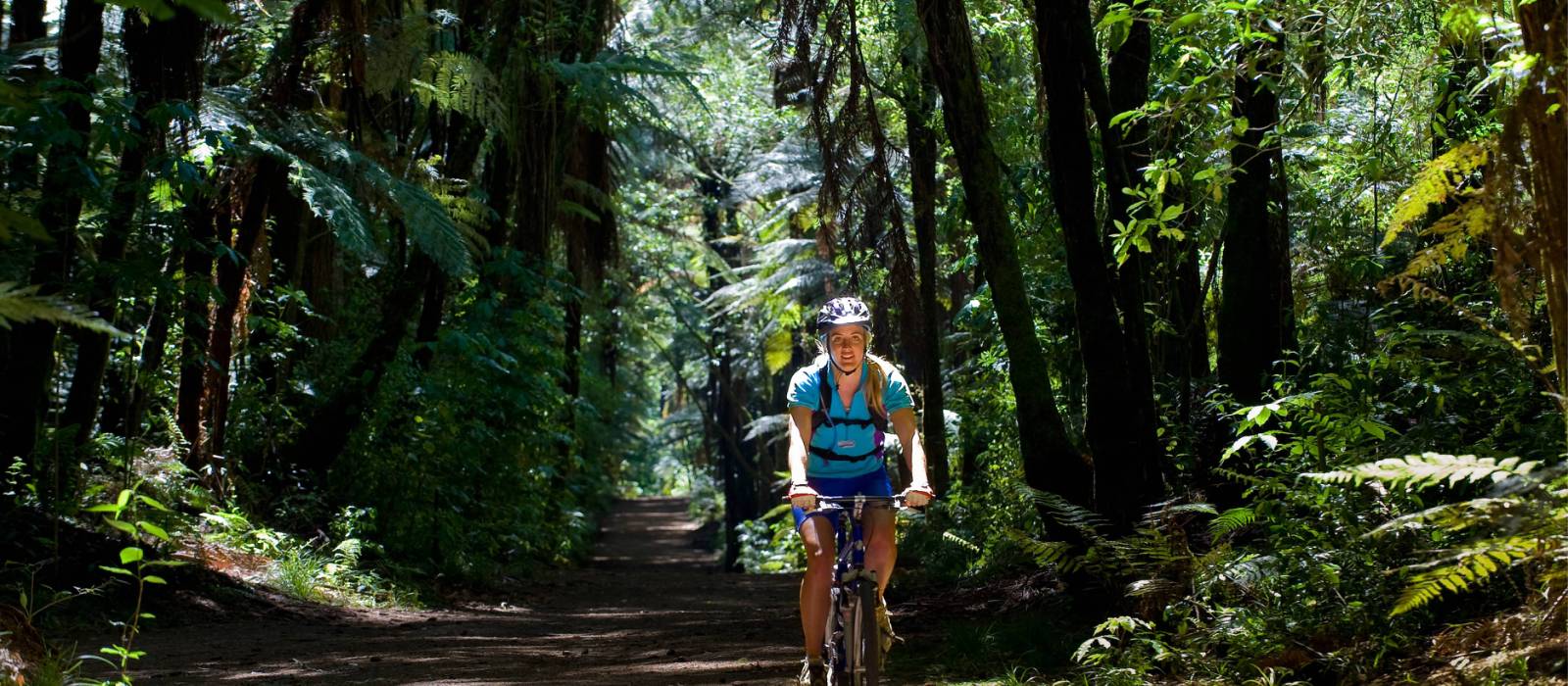 Cycling through the native New Zealand bush | Legend Photography