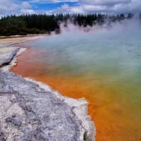 Thermal activity in Rotorua