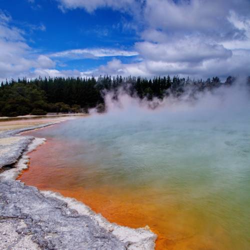 Thermal activity in Rotorua