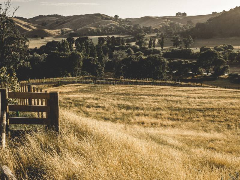 Cycling through the pretty countryside of rural Wairarapa |  <i>James Coleman</i>