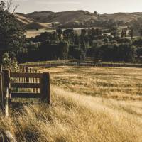 Cycling through the pretty countryside of rural Wairarapa | James Coleman