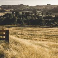 Cycling through the pretty countryside of rural Wairarapa | James Coleman