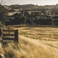 Cycling through the pretty countryside of rural Wairarapa | James Coleman