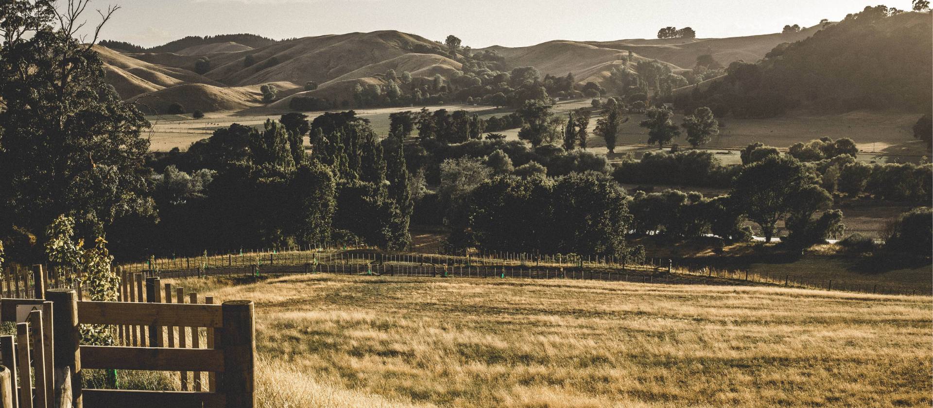 Cycling through the pretty countryside of rural Wairarapa | James Coleman