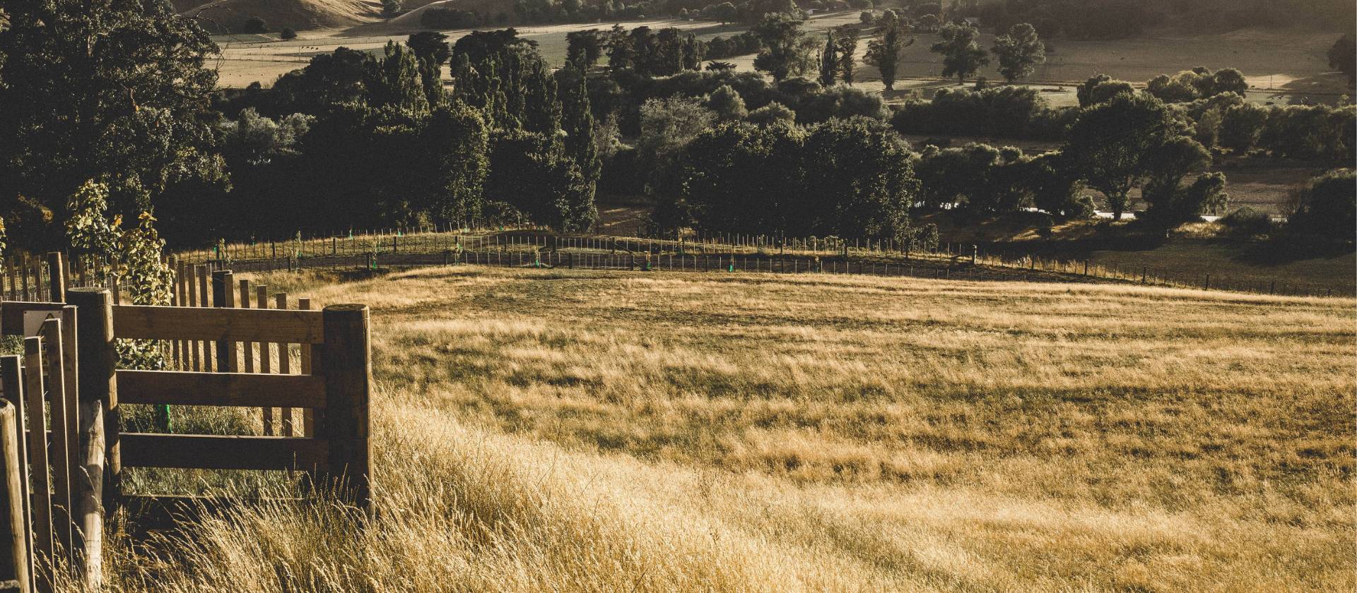 Cycling through the pretty countryside of rural Wairarapa | James Coleman