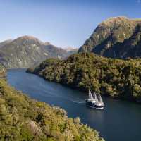 Sailing on Doubtful Sound | Miles Holden