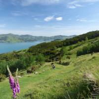 First stretch of the trail from Onuku Farm heading onto the Banks Peninsula Hike | Janet Oldham