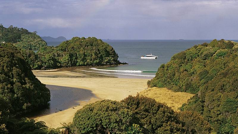 The 'island pace' on Stewart Island enables us to slow down enough to perhaps grab a glimpse of the native 'Kiwi' bird