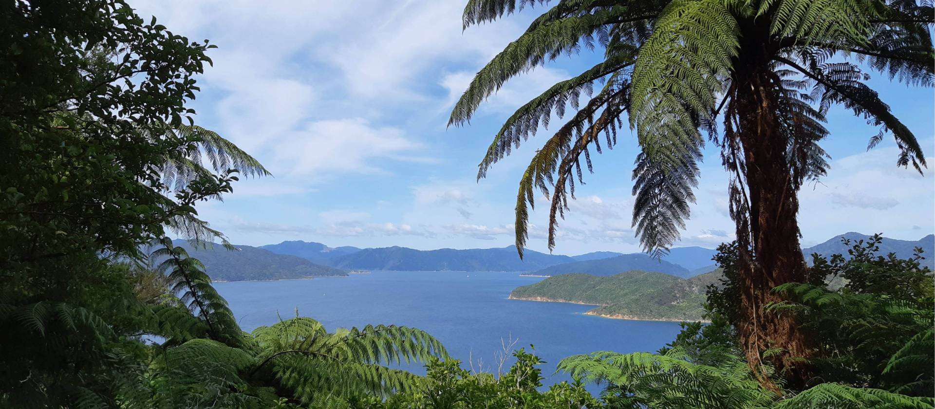 Stunning views across the bay | Kaye Wilson