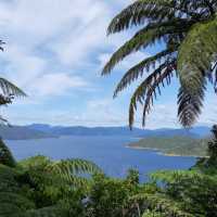 Stunning views across the bay | Kaye Wilson