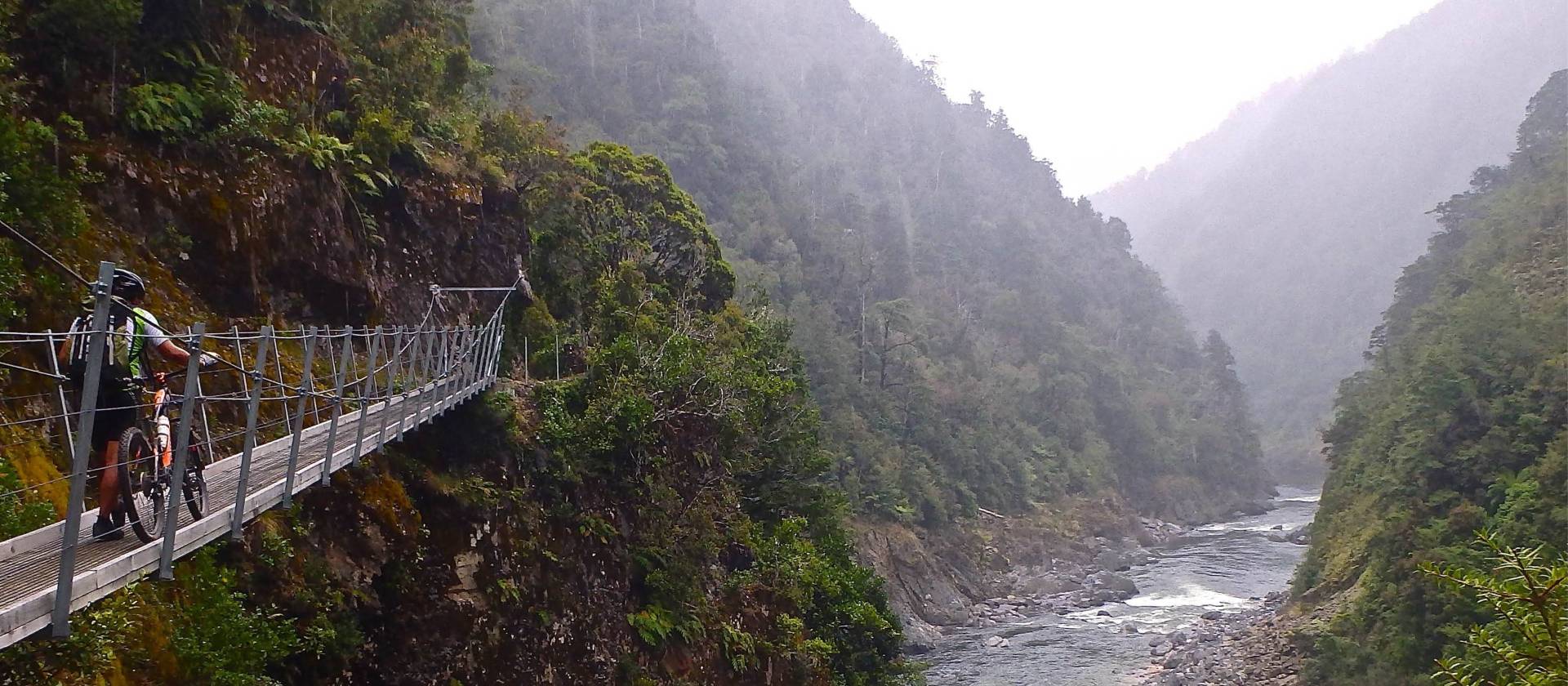 Swingbridge on the Old Ghost Road, West Coast, New Zealand. | Liam Stroud