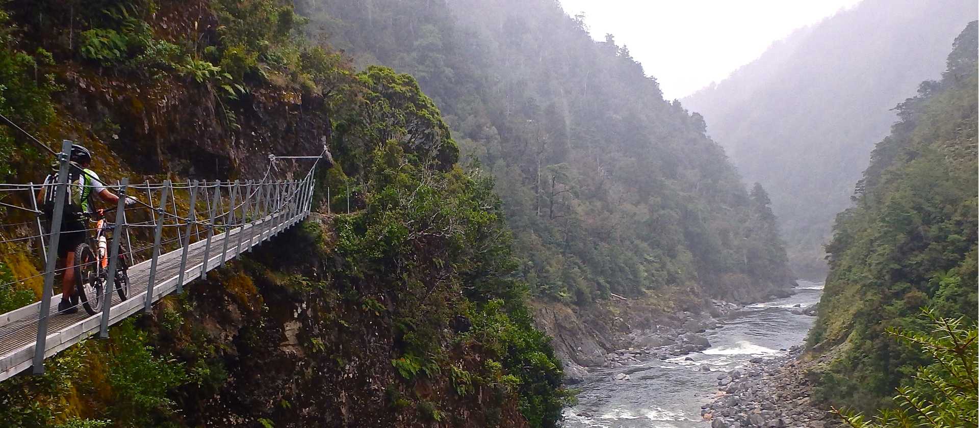 Swingbridge on the Old Ghost Road, West Coast, New Zealand. | Liam Stroud