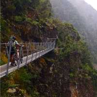 Swingbridge on the Old Ghost Road, West Coast, New Zealand. | Liam Stroud