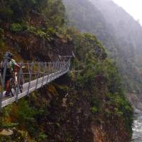 Swingbridge on the Old Ghost Road, West Coast, New Zealand. | Liam Stroud