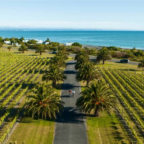 Cycling through wineries in Haumoana Hawkes Bay