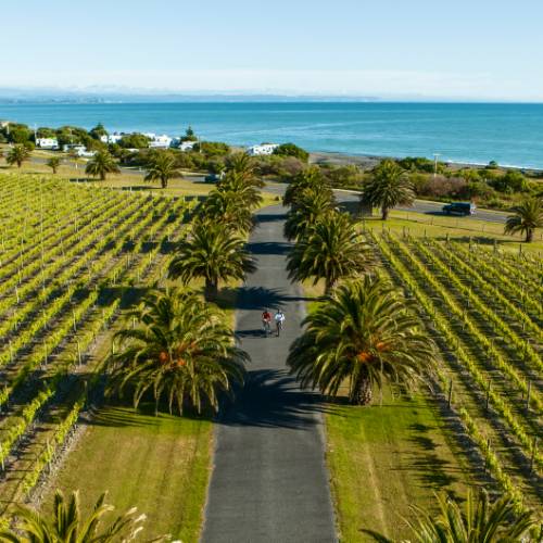 Cycling through wineries in Haumoana Hawkes Bay