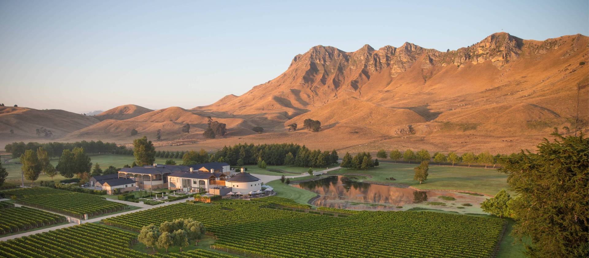 Wild expanses of vineyards can be seen as we cycle through the region of Havelock North | Graeme Murray