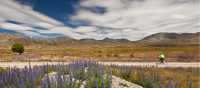 Cyclist in the Awatere Valley | Colin Monteath