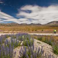 Cyclist in the Awatere Valley | Colin Monteath