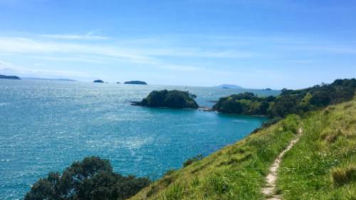 Parts of the Te Ara Hura are a narrow track along the cliffs edge | Jil Beckmann