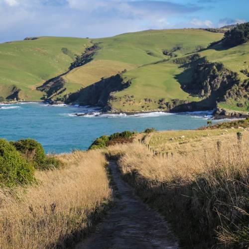 The Catlins - Southland, New Zealand