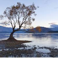 Early morning at Lake Wanaka | Peter walton