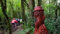Cyclists riding the Timber Trail |  StudioZag.com