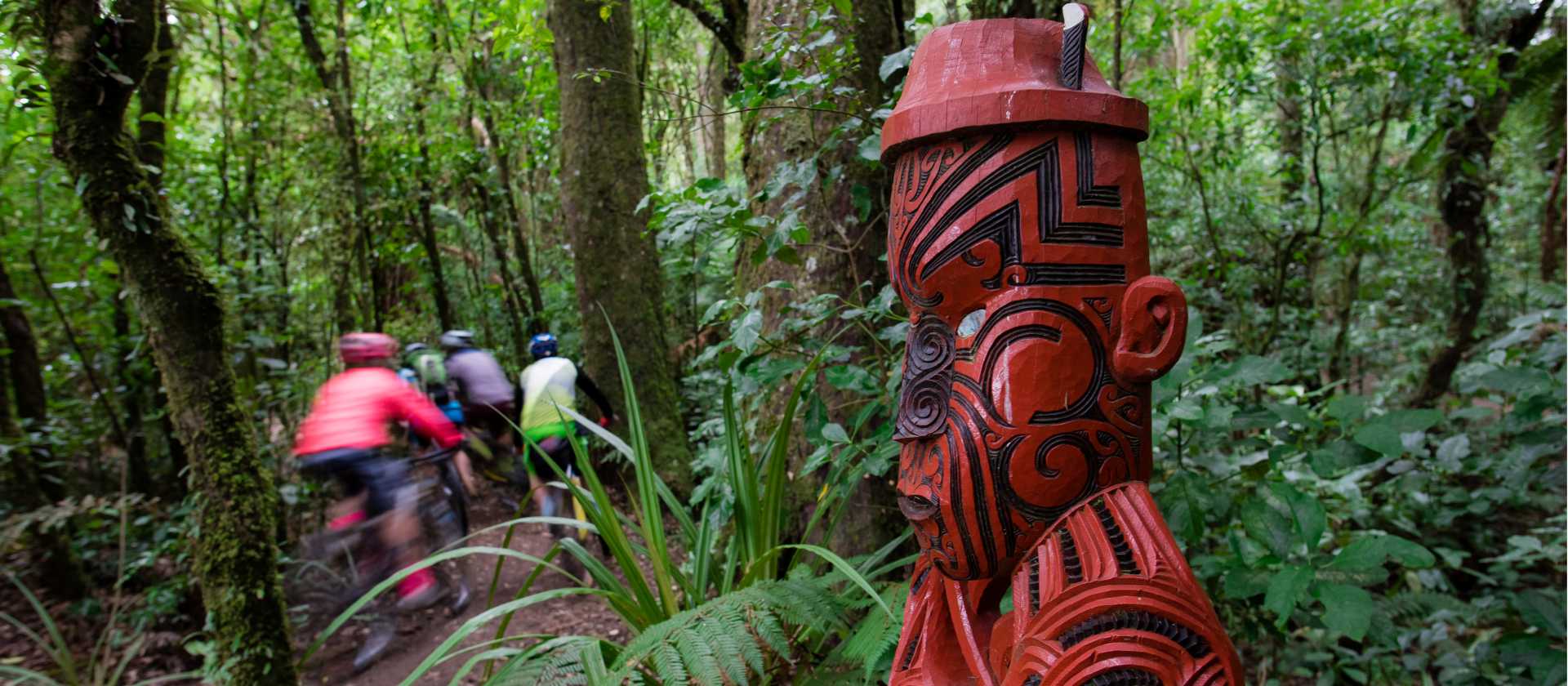 Cyclists riding the Timber Trail | StudioZag.com