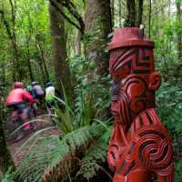 Cyclists riding the Timber Trail | StudioZag.com