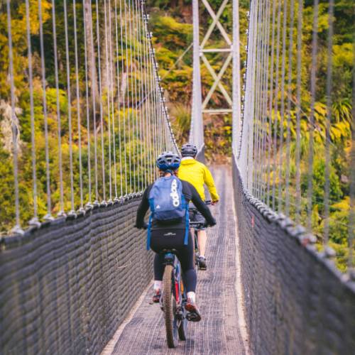 Timber Trail and Waikato Cycling Holiday North Island Bike Trips
