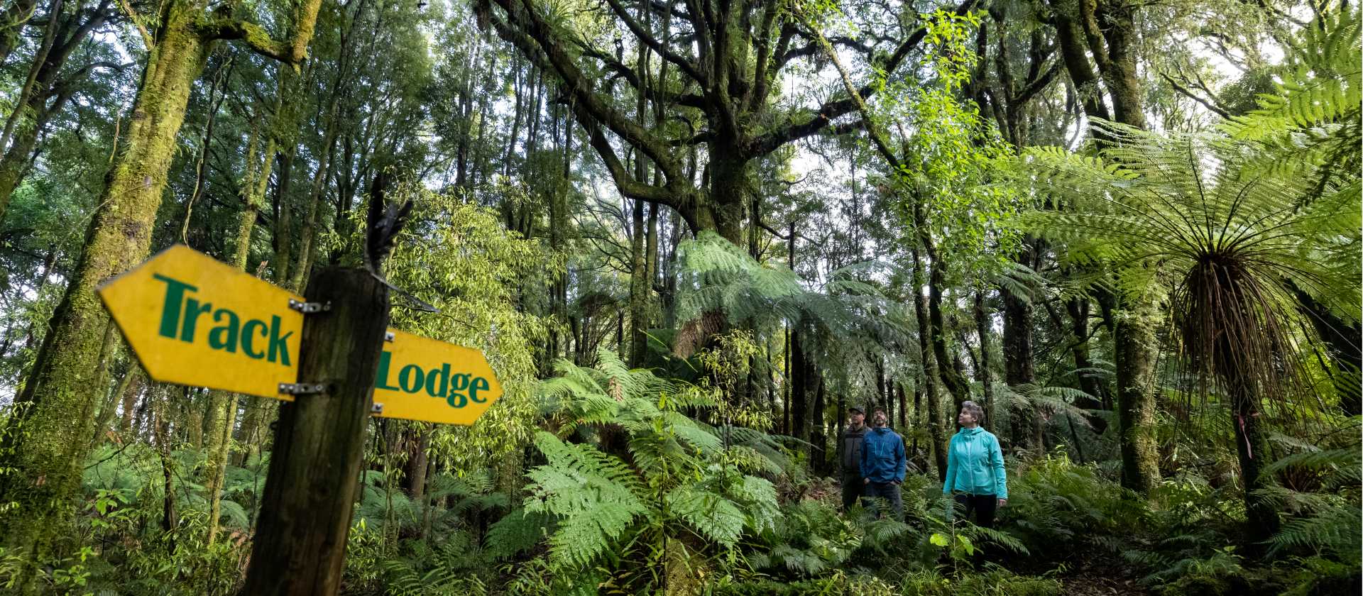 Riders enjoying their time cycling along the Timber Trail | Timber Trail Lodge
