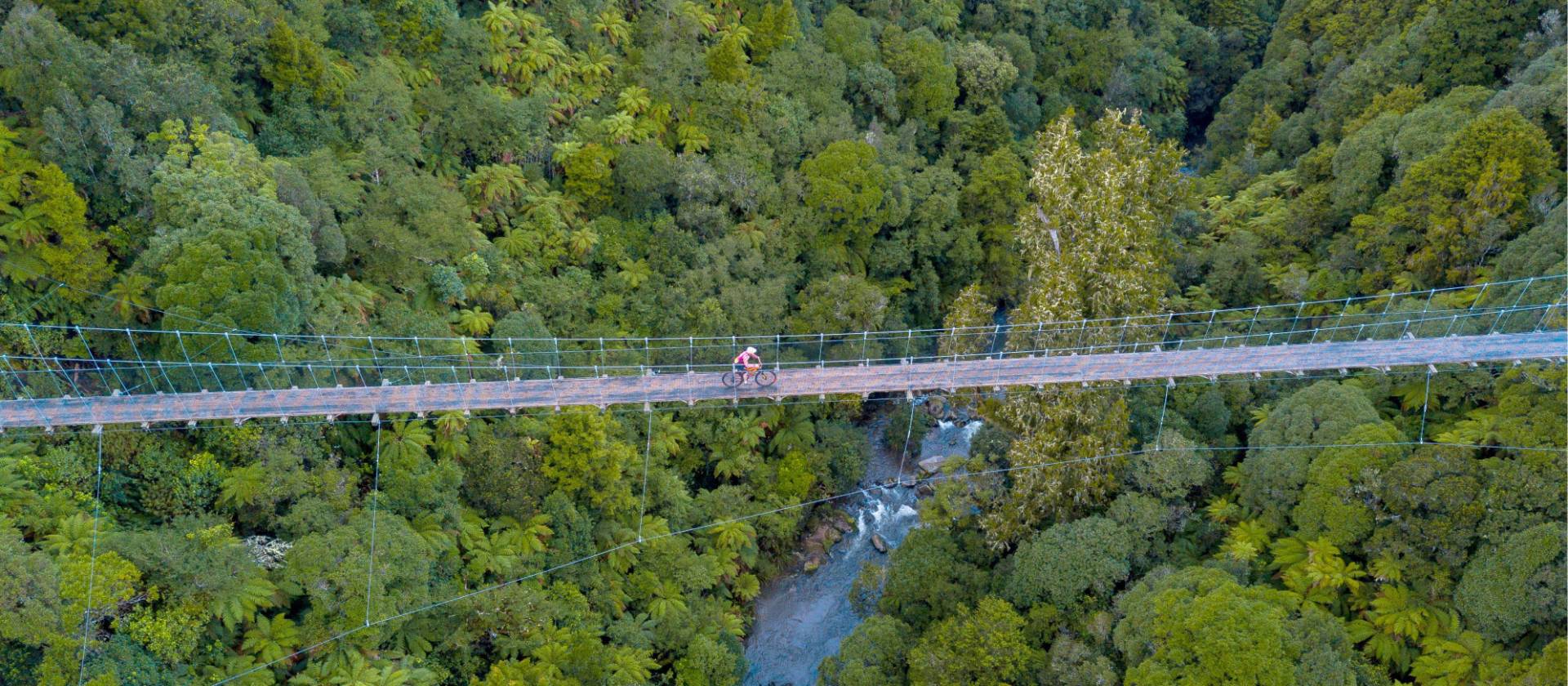 Cyclists riding the Timber Trail | BareKiwi.com