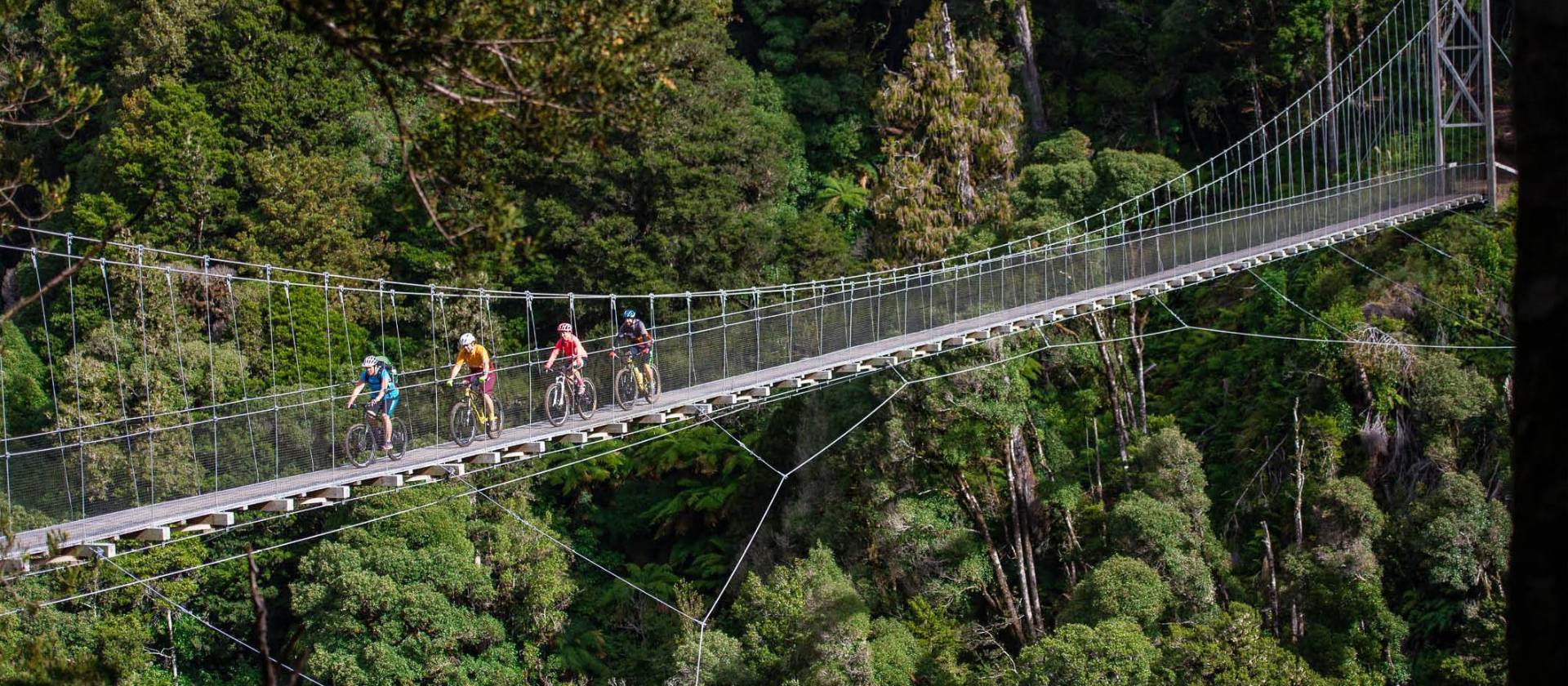 Fully immerse yourself in North Island native bush. | StudioZag.com