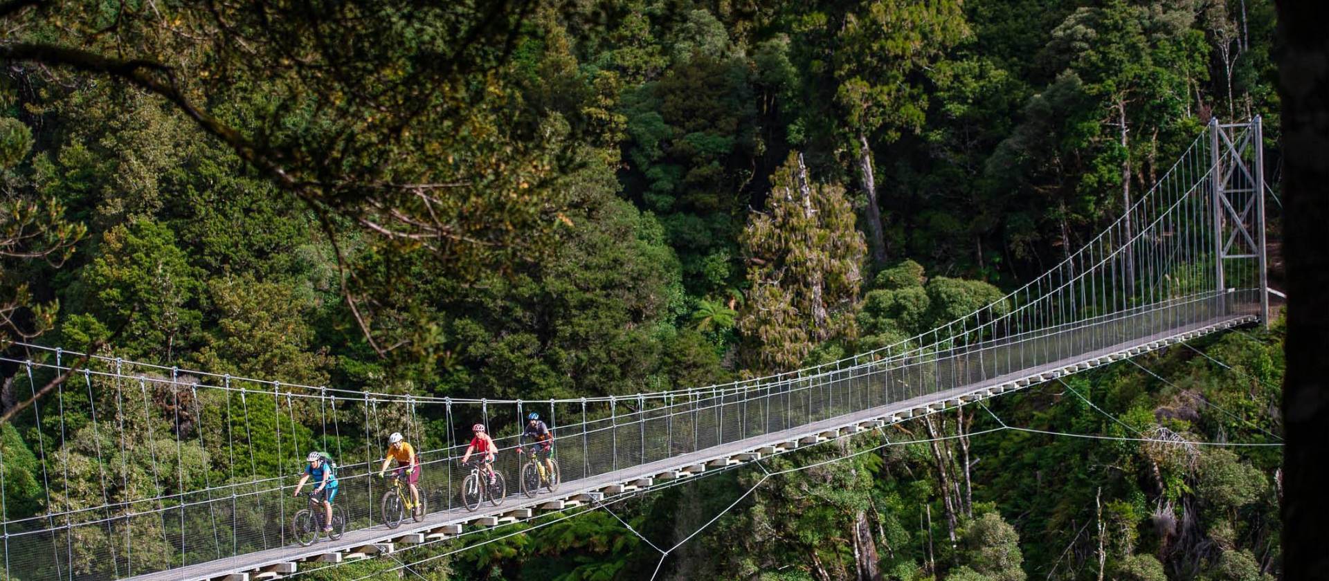 Fully immerse yourself in North Island native bush. | StudioZag.com