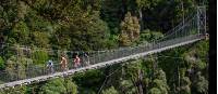 Fully immerse yourself in North Island native bush. |  <i>StudioZag.com</i>