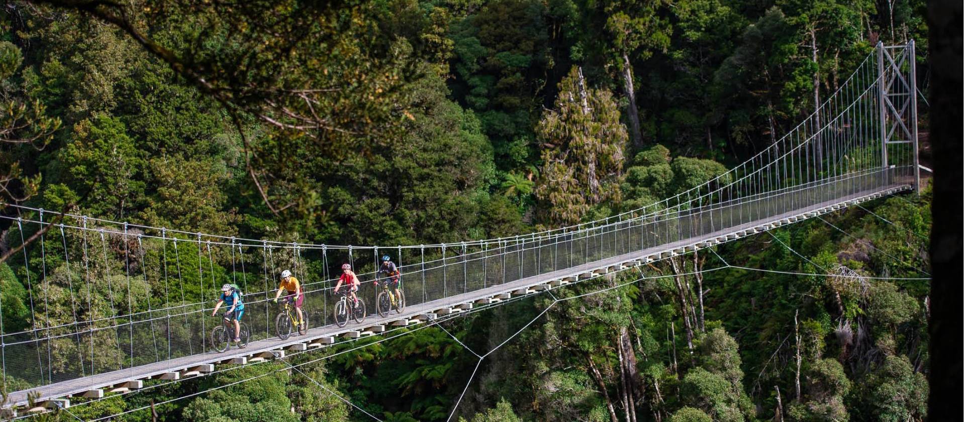 Fully immerse yourself in North Island native bush. | StudioZag.com