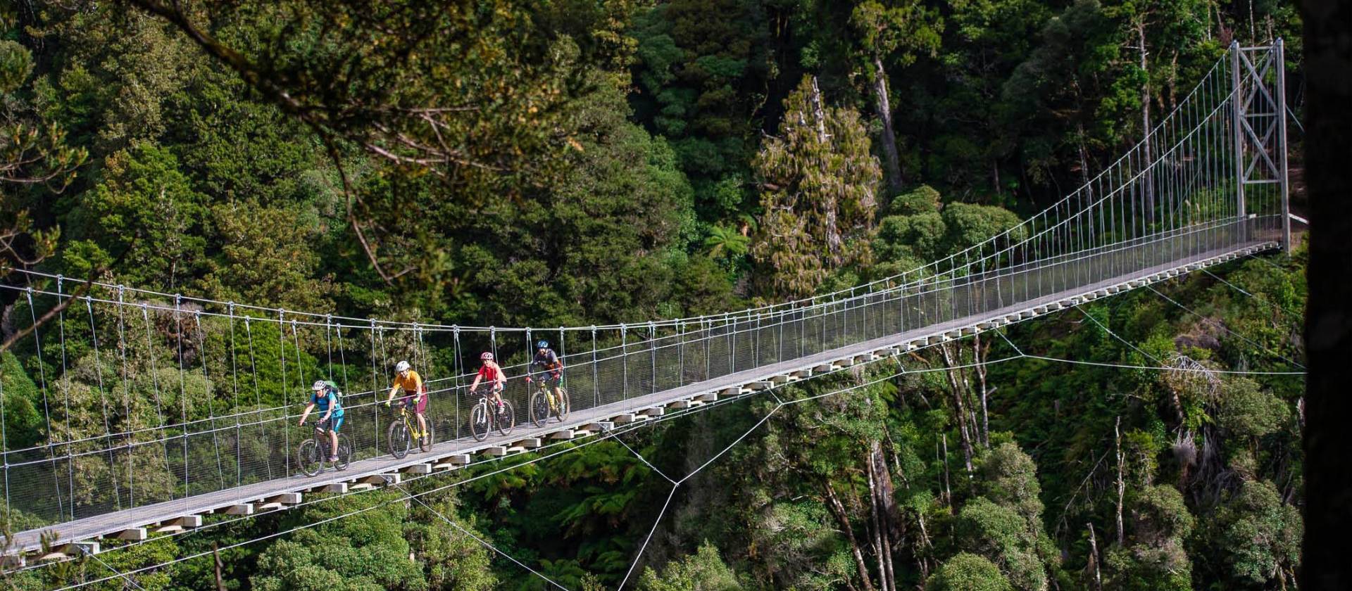 Fully immerse yourself in North Island native bush. | StudioZag.com