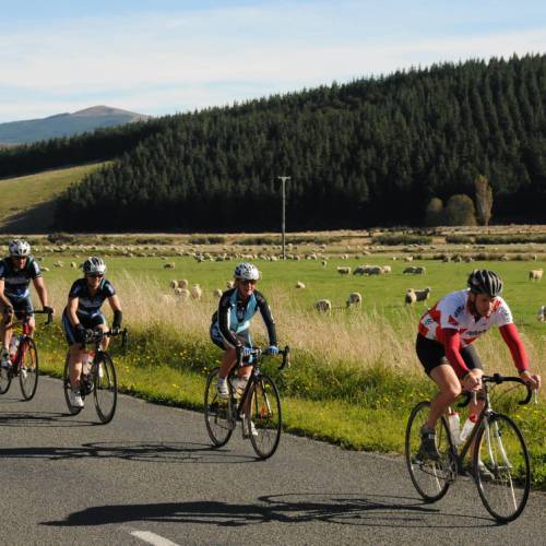 Best bike sales for rural roads