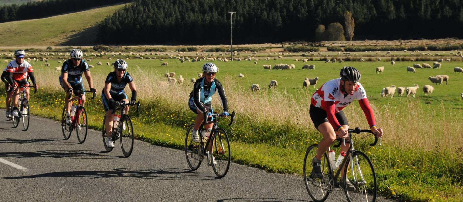 North Island Backroad Cycling Road Cycling Tour NZ