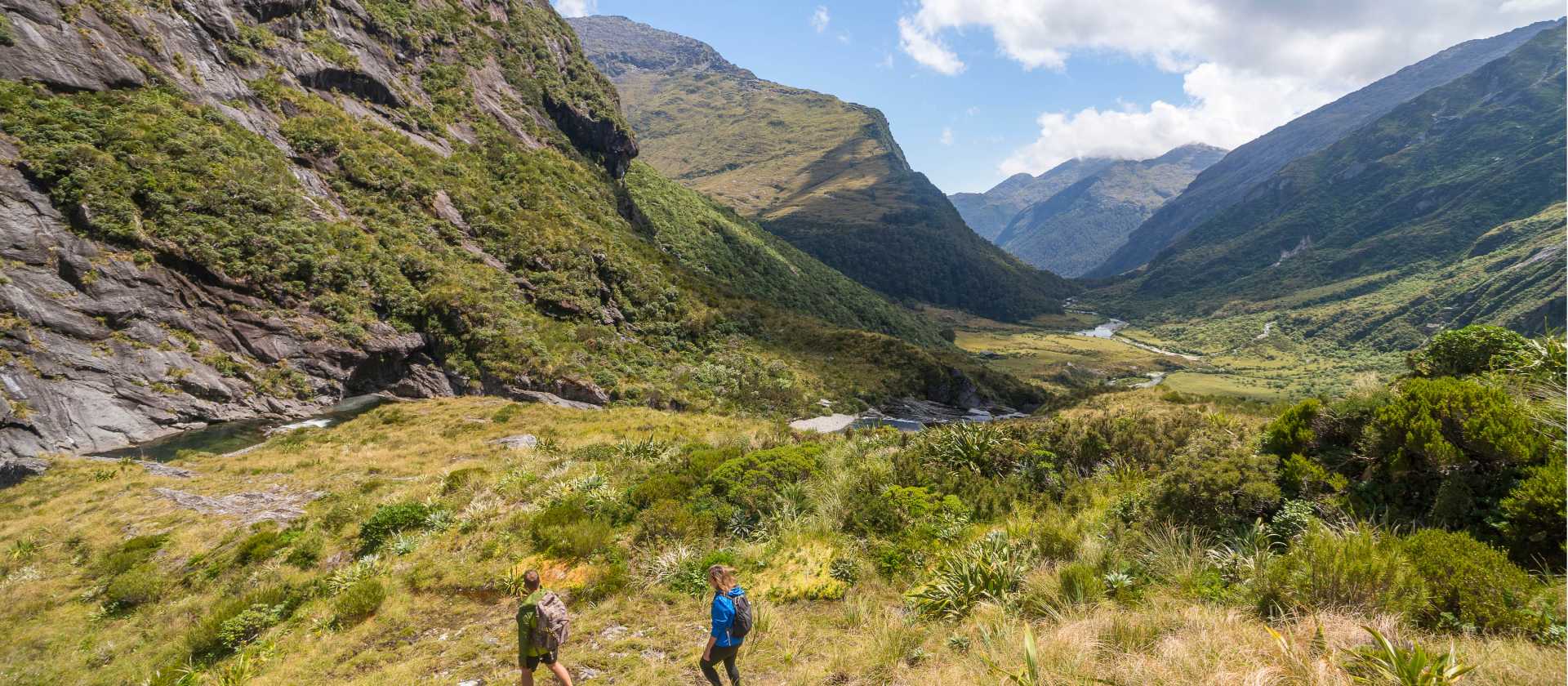 Amazing wilderness and valleys of the West Coast | Tourism West Coast