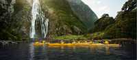 Kayaking in Milford Sound