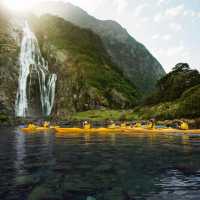 Kayaking in Milford Sound