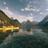 Kayaking in Milford Sound