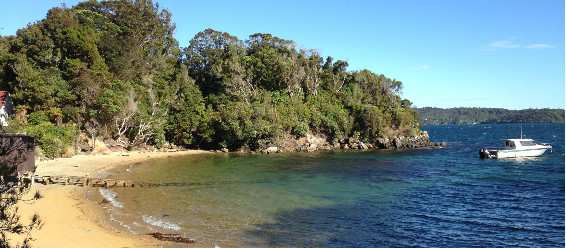 Predator-free Ulva Island off Stewart Island | Janet Oldham