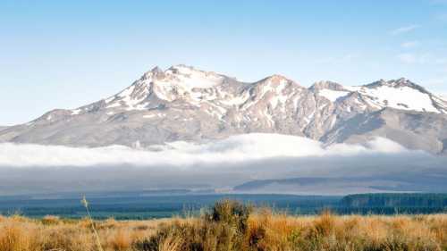 Scenery along the Mt Ruapehu & the 3 Rivers cycle | George Clerk; Getty Images