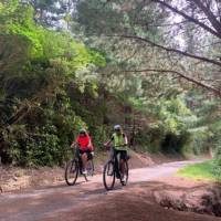 Remutaka Cycle Trail | Lisa Jones