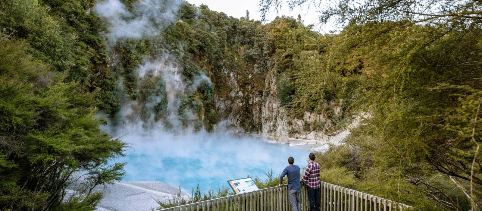 Rotorua is known for its geothermal activity | Miles Holden