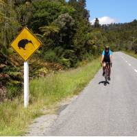 Beware of Kiwis on the West Coast of NZ! | Sandra Appleby