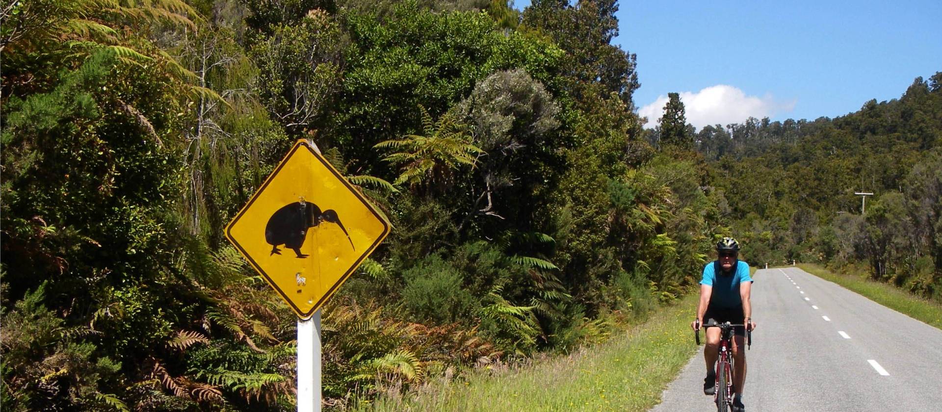 Beware of Kiwis on the West Coast of NZ! | Sandra Appleby